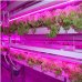 120 cm - LED GROW trubica pre rast rastlín, 18W, plné spektrum slabo-ružová